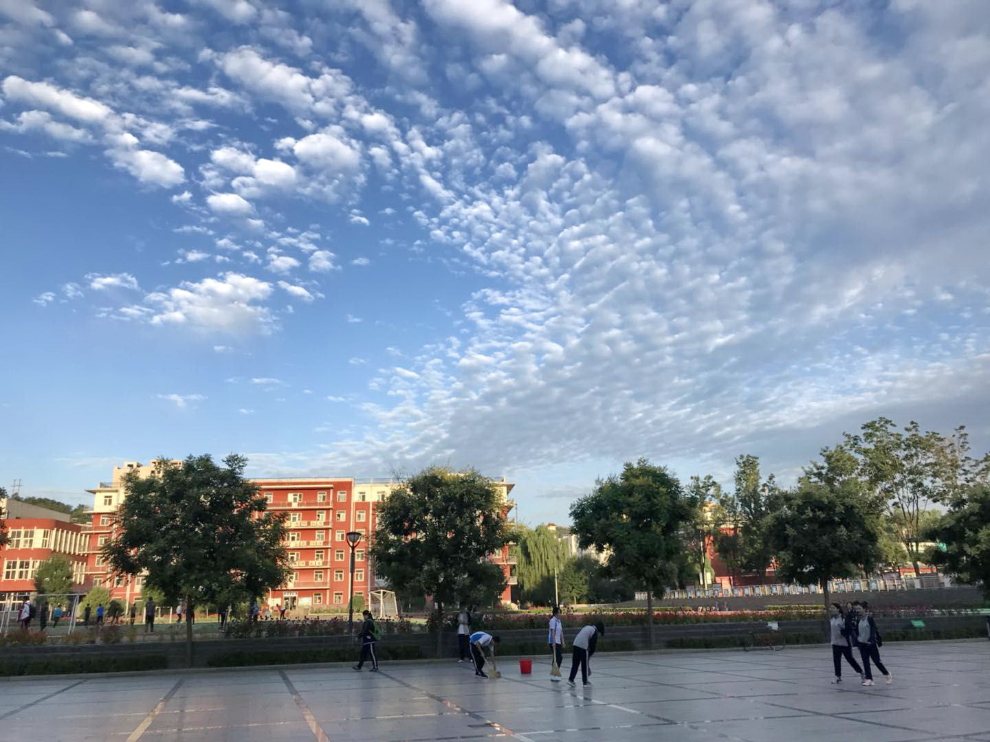 校(xiào)園的(de)早晨